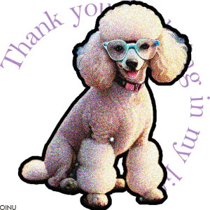 ዾ v[h 肪Ƃ 킢 Ί ANZT[ NbVJo[ 45×45cm Aj}   NbV{̕t ` t@