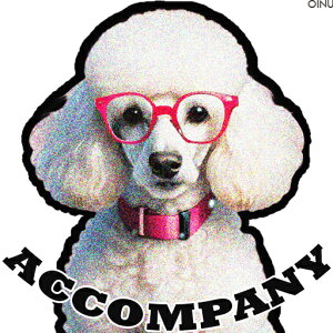 Kl v[h  X^CbV IV NbVJo[ 45×45cm Aj}   NbV{̕t ` t@