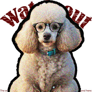 ዾ v[h NbVJo[ 45×45cm Aj}   NbV{̕t ` t@