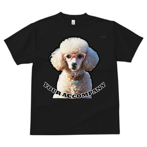 TVc Y LbY t@  t  vg JWA 킢 lԗp tBbglX _X Kl v[h  n[g̃y_g