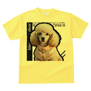 TVc Y LbY t@  t  vg JWA 킢 lԗp tBbglX _X Kl v[h ybg̕ JCC 