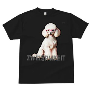 TVc fB[X t@  t  vg JWA 킢 lԗp tBbglX _X Kl v[h