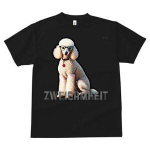 TVc fB[X t@  t  vg JWA 킢 lԗp tBbglX _X Kl v[h Ԃn[g̃y_g