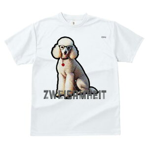 TVc fB[X t@  t  vg JWA 킢 lԗp tBbglX _X Kl v[h Ԃn[g̃y_g