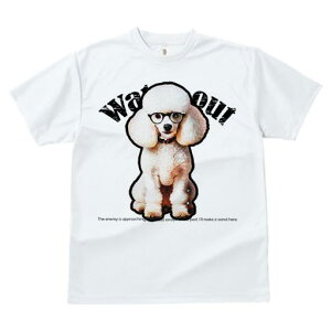 TVc fB[X t@  t  vg JWA 킢 lԗp tBbglX _X Kl v[h  킢 x