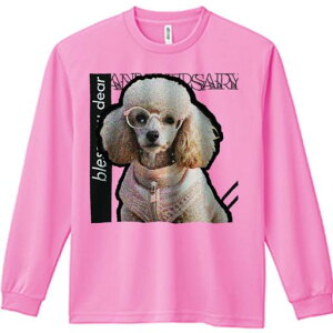 TVc lԗp Y Ht vg W[ AEghA JWA 킢 t@ Kl v[h ybg̕ JCC 