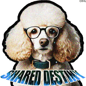 ዾ v[h  eLXg NbVJo[ 45×45cm Aj}   NbV{̕t ` t@