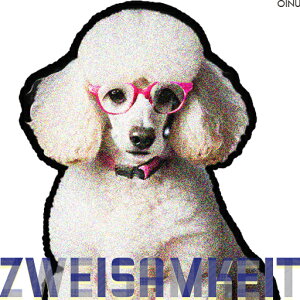ዾ v[h sNF̃t[  eLXg NbVJo[ 45×45cm Aj}  NbV{̕t ` t@