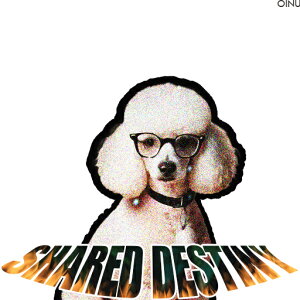 Kl v[h p̃LvV NbVJo[ 45×45cm Aj}   NbV{̕t ` t@