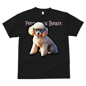 TVc fB[X t@  t  vg JWA 킢 lԗp tBbglX _X Kl v[h Ԃ