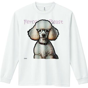 TVc lԗp Y Ht vg W[ AEghA JWA 킢 t@ Kl v[h 