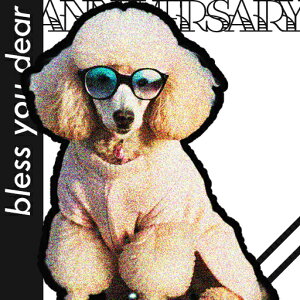 TOX v[h  eLXg NbVJo[ 45×45cm Aj}   NbV{̕t ` t@