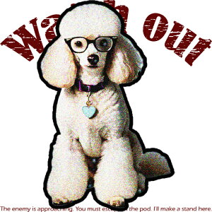 Kl v[h n[g̃lbNX  NbVJo[ 45×45cm Aj}   NbV{̕t ` t@