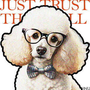 Kl v[h lN^C NbVJo[ 45×45cm Aj}   NbV{̕t ` t@