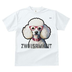 TVc fB[X t@  t  vg JWA 킢 lԗp tBbglX _X Kl v[h Ԃ eLXg