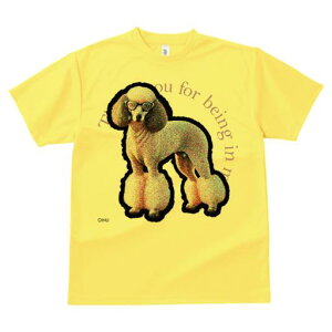 TVc Y LbY t@  t  vg JWA 킢 lԗp tBbglX _X Kl v[h  eLXg