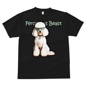 TVc fB[X t@  t  vg JWA 킢 lԗp tBbglX _X Kl v[h  Z[^[