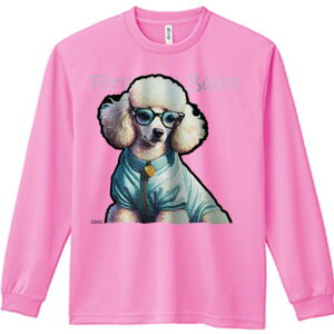 TVc lԗp Y Ht vg W[ AEghA JWA 킢 t@ Kl v[h m