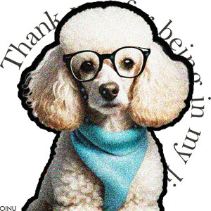 ዾ v[h XJ[t NbVJo[ 45×45cm Aj}   NbV{̕t ` t@