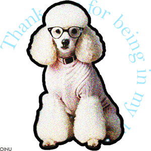 ዾ v[h Z[^[ eLXg NbVJo[ 45×45cm Aj}   NbV{̕t ` t@