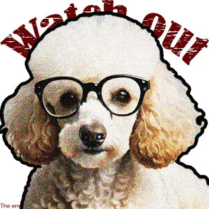 Kl v[h  NbVJo[ 45×45cm Aj}   NbV{̕t ` t@