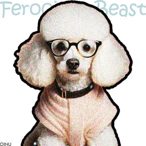 Kl v[h sN̕ NbVJo[ 45×45cm Aj}   NbV{̕t ` t@