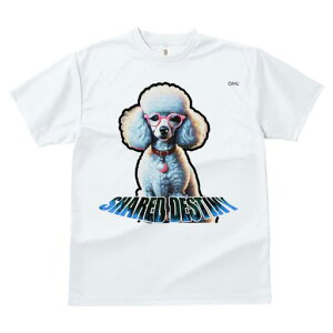 TVc fB[X t@  t  vg JWA 킢 lԗp tBbglX _X Kl v[h Ԃ eLXg SHARED DESTINY