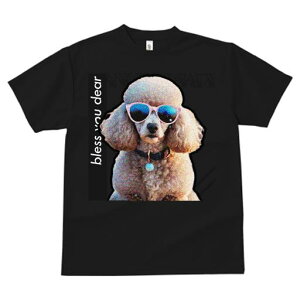 TVc fB[X t@  t  vg JWA 킢 lԗp tBbglX _X TOX v[h Kl  bZ[W