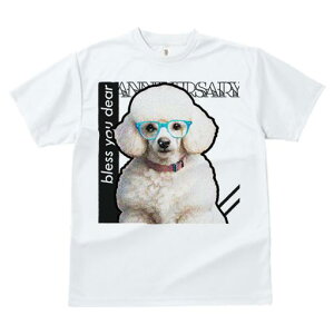 TVc fB[X t@  t  vg JWA 킢 lԗp tBbglX _X Kl v[h  R[W eLXg ʔ