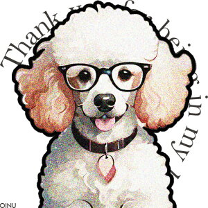 ዾ v[h  n[g̃y_g NbVJo[ 45×45cm Aj}   NbV{̕t ` t@