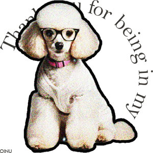 Kl v[h sN̎ NbVJo[ 45×45cm Aj}   NbV{̕t ` t@