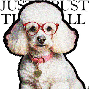 Kl v[h { n[g̃^O NbVJo[ 45×45cm Aj}   NbV{̕t ` t@