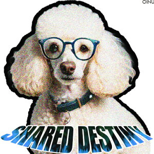 ዾ v[h  eLXg NbVJo[ 45×45cm Aj}   NbV{̕t ` t@