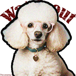 ዾ v[h n[g^̎ NbVJo[ 45×45cm Aj}   NbV{̕t ` t@