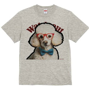 TVc Y LbY t@  t  vg JWA 킢 lԗp tBbglX _X Ԃዾ v[h lN^C