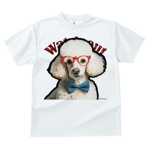 TVc fB[X t@  t  vg JWA 킢 lԗp tBbglX _X Ԃዾ v[h lN^C