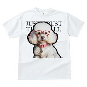 TVc fB[X t@  t  vg JWA 킢 lԗp tBbglX _X Kl v[h { n[g̃^O