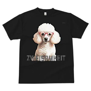 TVc Y LbY t@  t  vg JWA 킢 lԗp tBbglX _X Kl v[h 