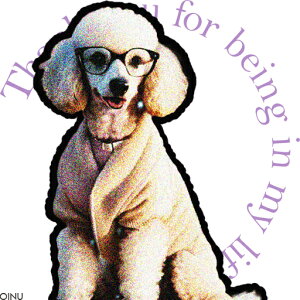 Kl v[h R[g IV NbVJo[ 45×45cm Aj}   NbV{̕t ` t@