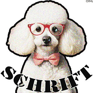 ዾ v[h lN^C eLXg NbVJo[ 45×45cm Aj}   NbV{̕t ` t@