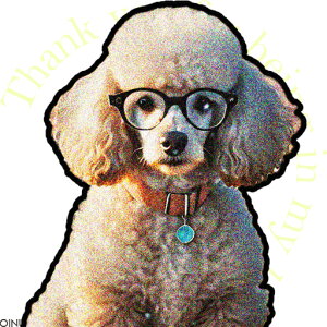 Kl v[h  eLXg NbVJo[ 45×45cm Aj}   NbV{̕t ` t@