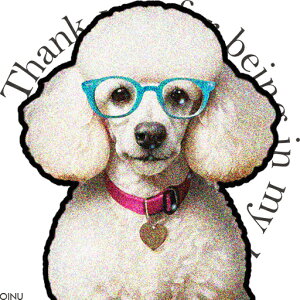 Kl v[h sN̎ NbVJo[ 45×45cm Aj}   NbV{̕t ` t@