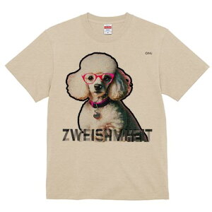 TVc Y LbY t@  t  vg JWA 킢 lԗp tBbglX _X Kl v[h  eLXg 