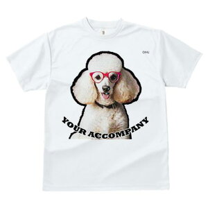 TVc fB[X t@  t  vg JWA 킢 lԗp tBbglX _X Kl v[h [h