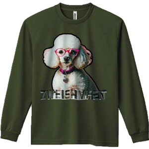 TVc lԗp Y Ht vg W[ AEghA JWA 킢 t@ Kl v[h  eLXg 