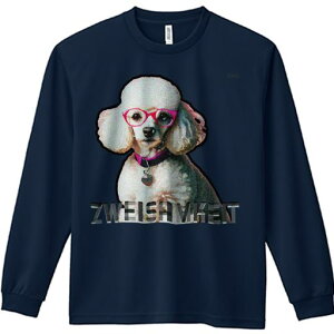 TVc lԗp Y Ht vg W[ AEghA JWA 킢 t@ Kl v[h  eLXg 