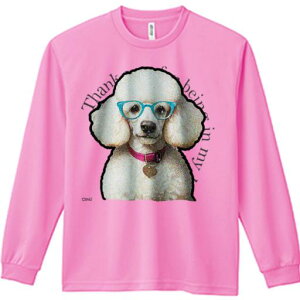 TVc lԗp Y Ht vg W[ AEghA JWA 킢 t@ Kl v[h sN̎