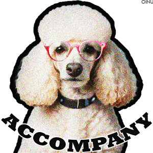 Kl v[h J[ NbVJo[ 45×45cm Aj}   NbV{̕t ` t@