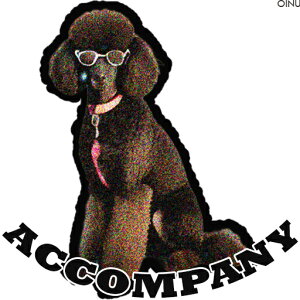 TOX v[h  eLXg NbVJo[ 45×45cm Aj}   NbV{̕t ` t@