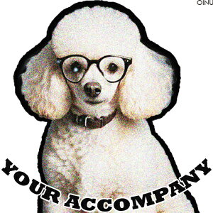 Kl v[h  NbVJo[ 45×45cm Aj}   NbV{̕t ` t@